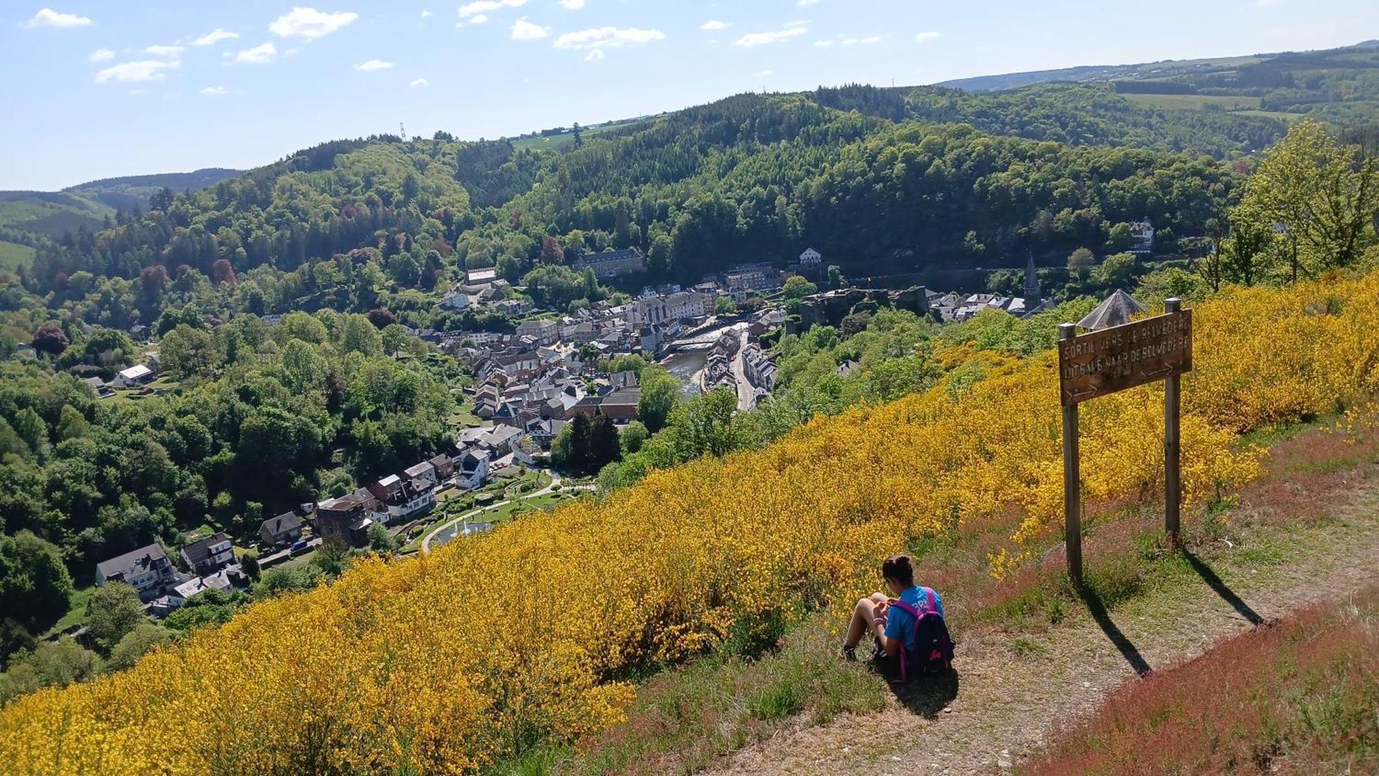 Villa Le Panorama La-Roche-en-Ardenne Esterno foto
